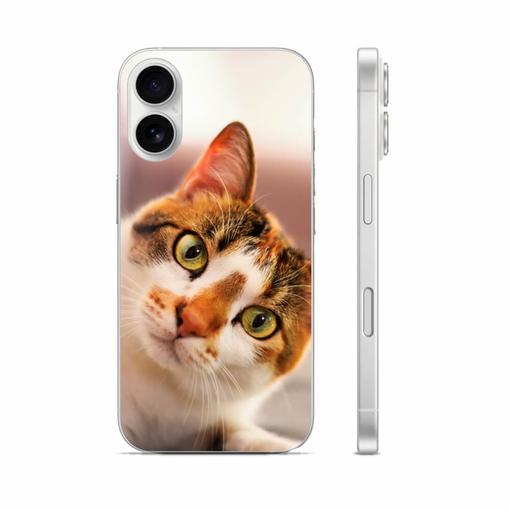 Capas de celular