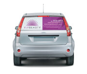 Adesivo Micro Perfurado Citru