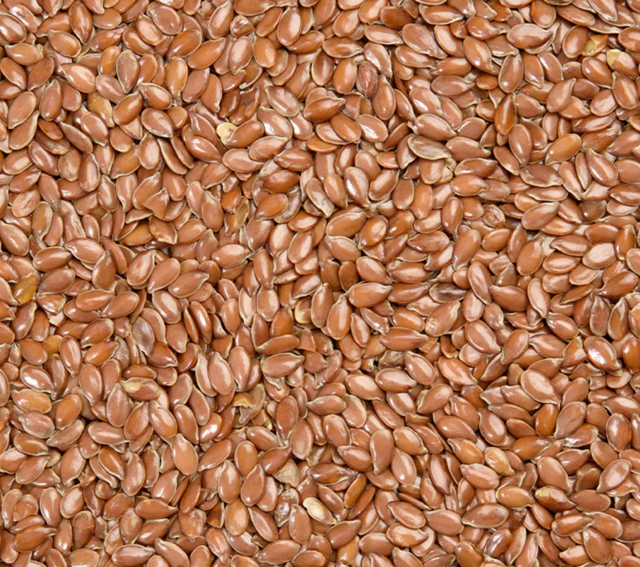 Linaza entera 