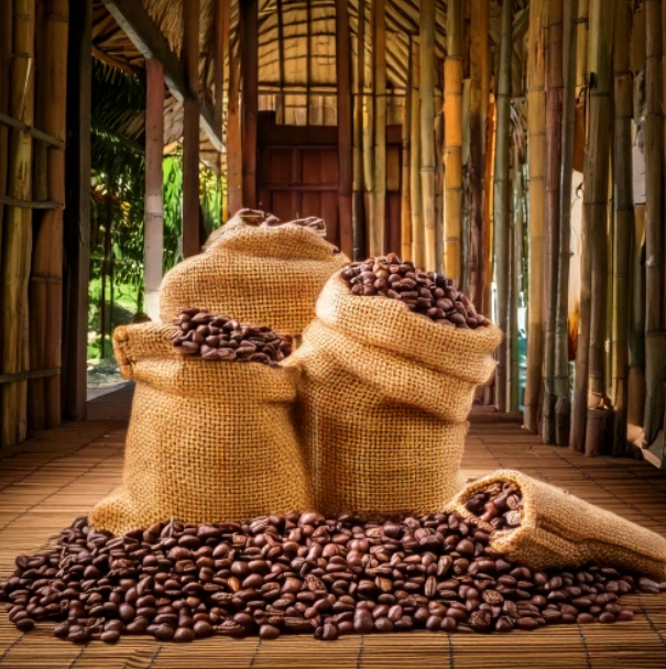 Robusta Beans - A Grade 18
