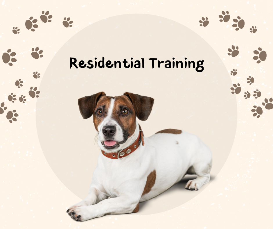 Residential Training