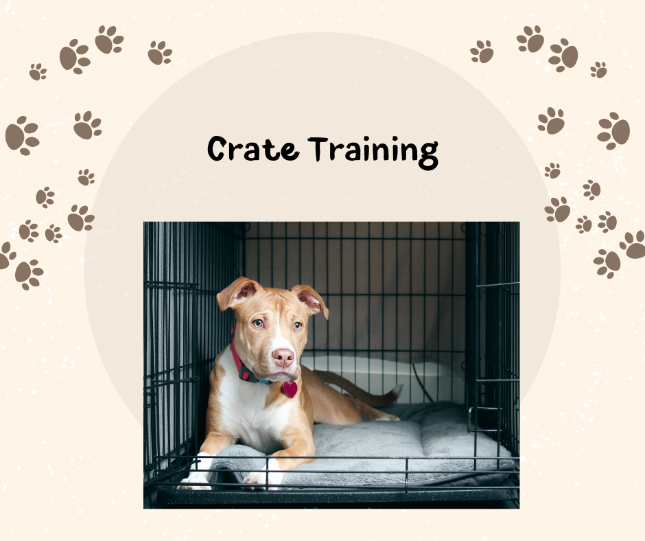 Crate Training