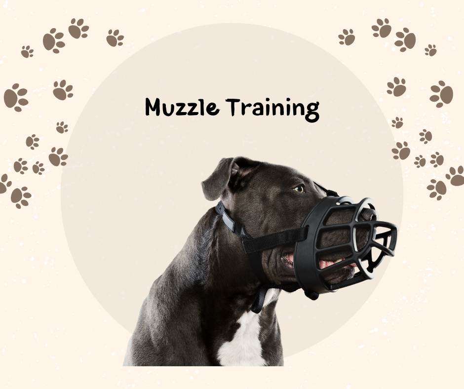Muzzle Training