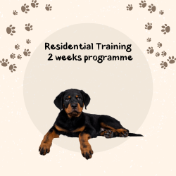 2 Weeks Residential Training