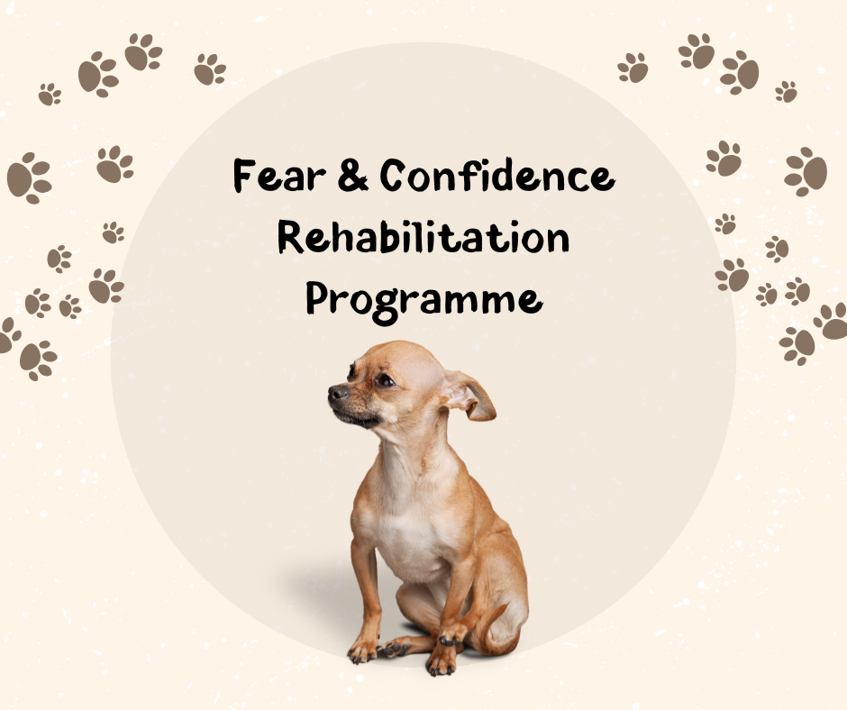 Fear & Confidence Rehabilitation Programme