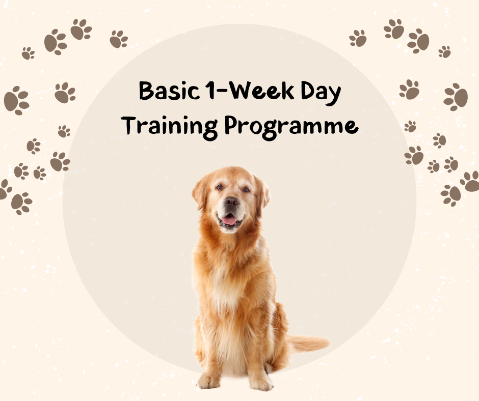 1-Week Day Training Programme