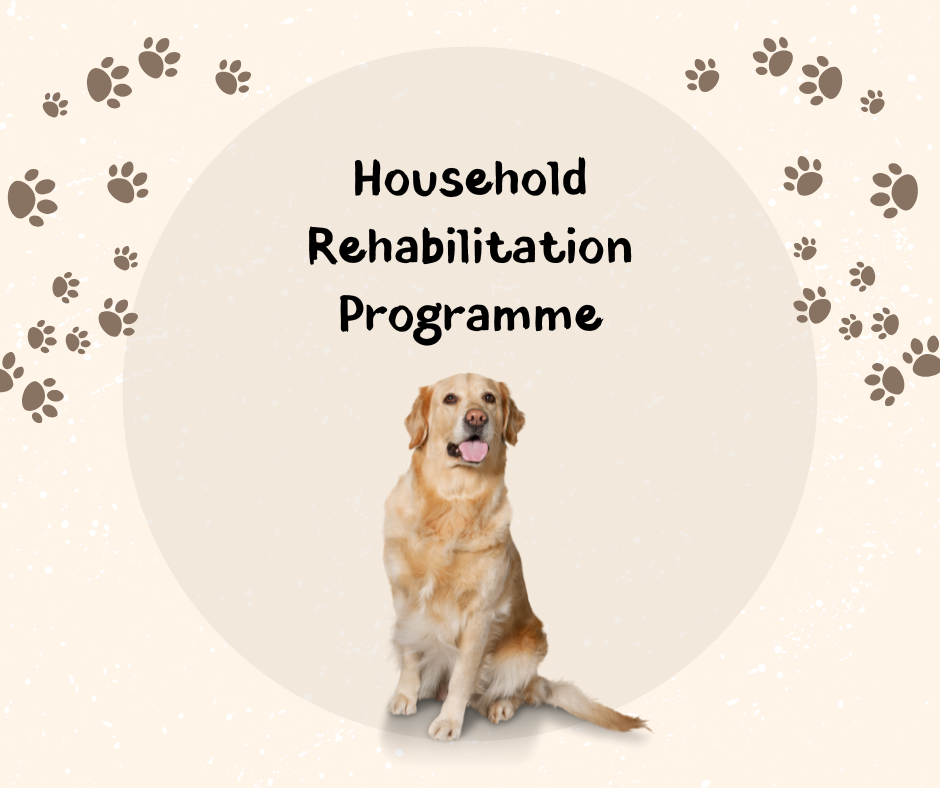 Household Rehabilitation Programme