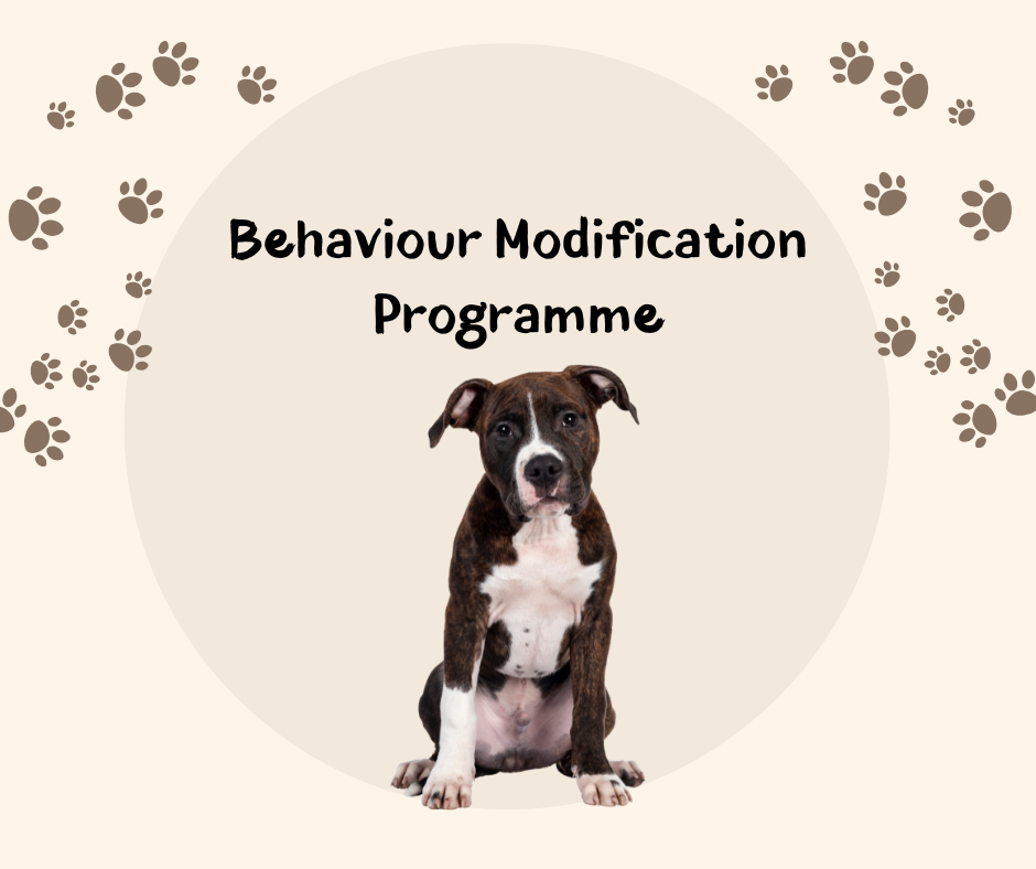 Behaviour Modification Programme