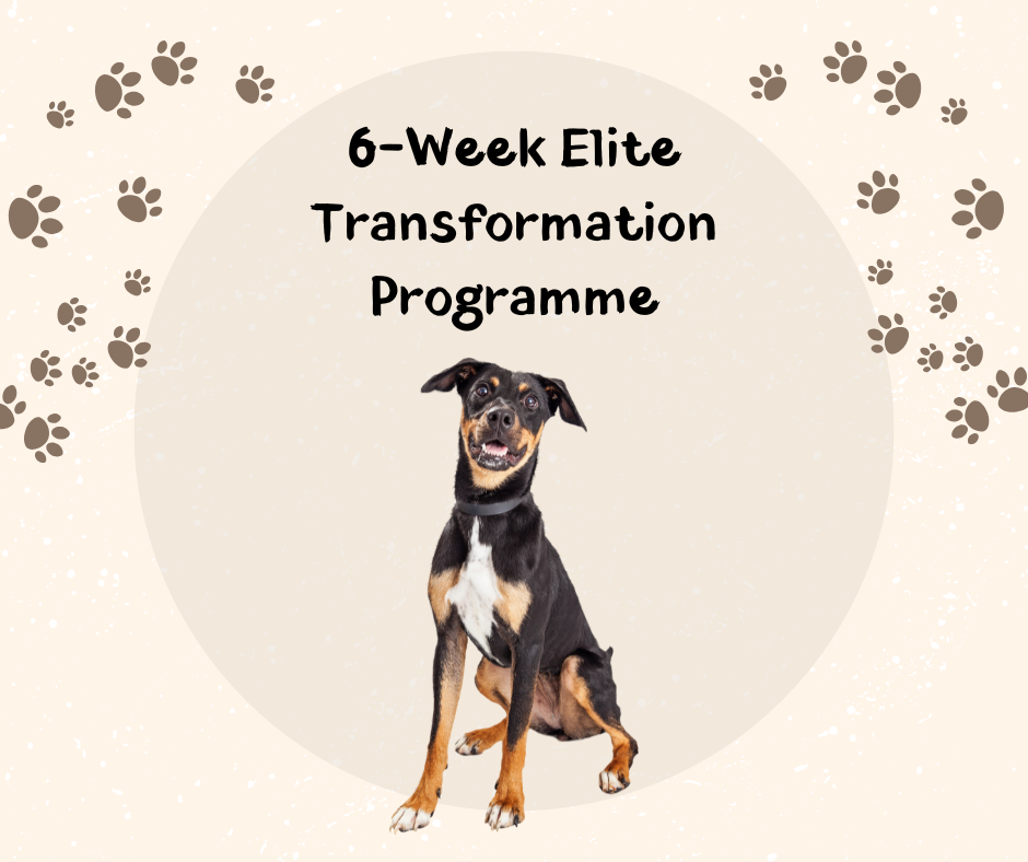 6-Week Elite Transformation Programme