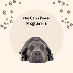 The Calm Power Programme