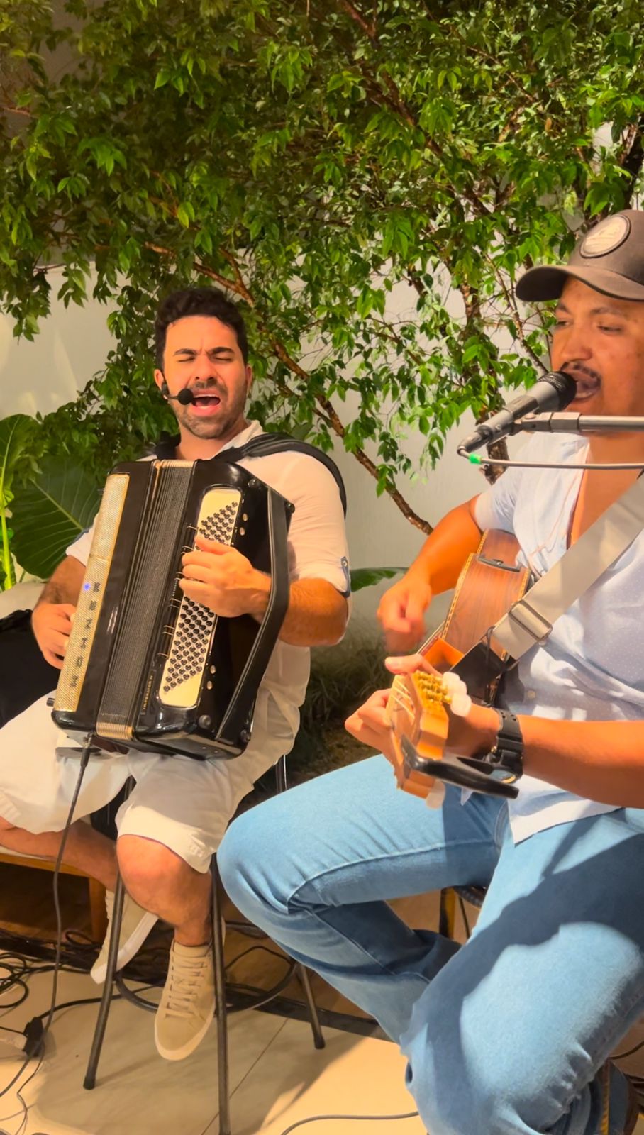 Voz, Violão e Sanfona