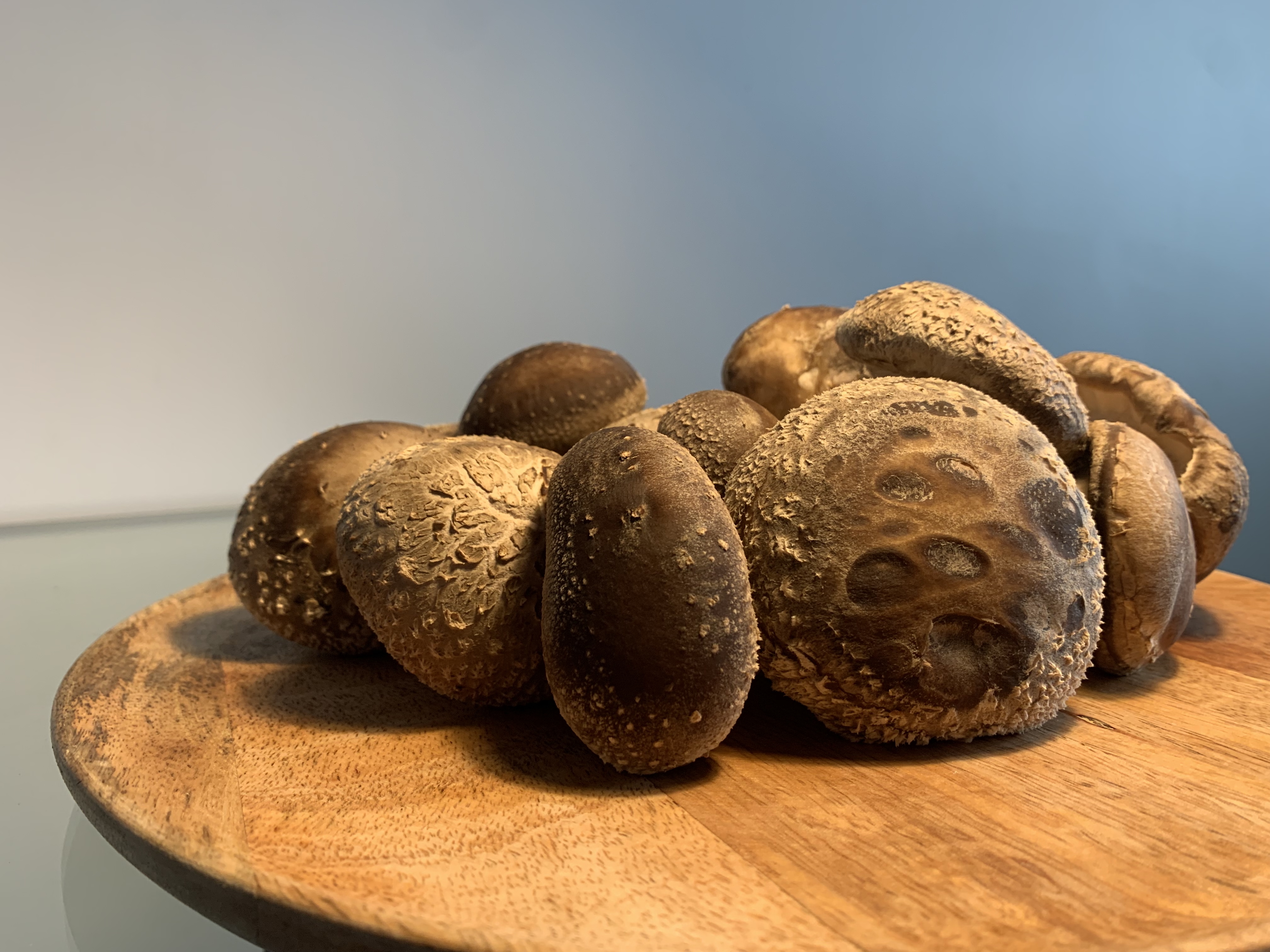 Švieži Shiitake grybai