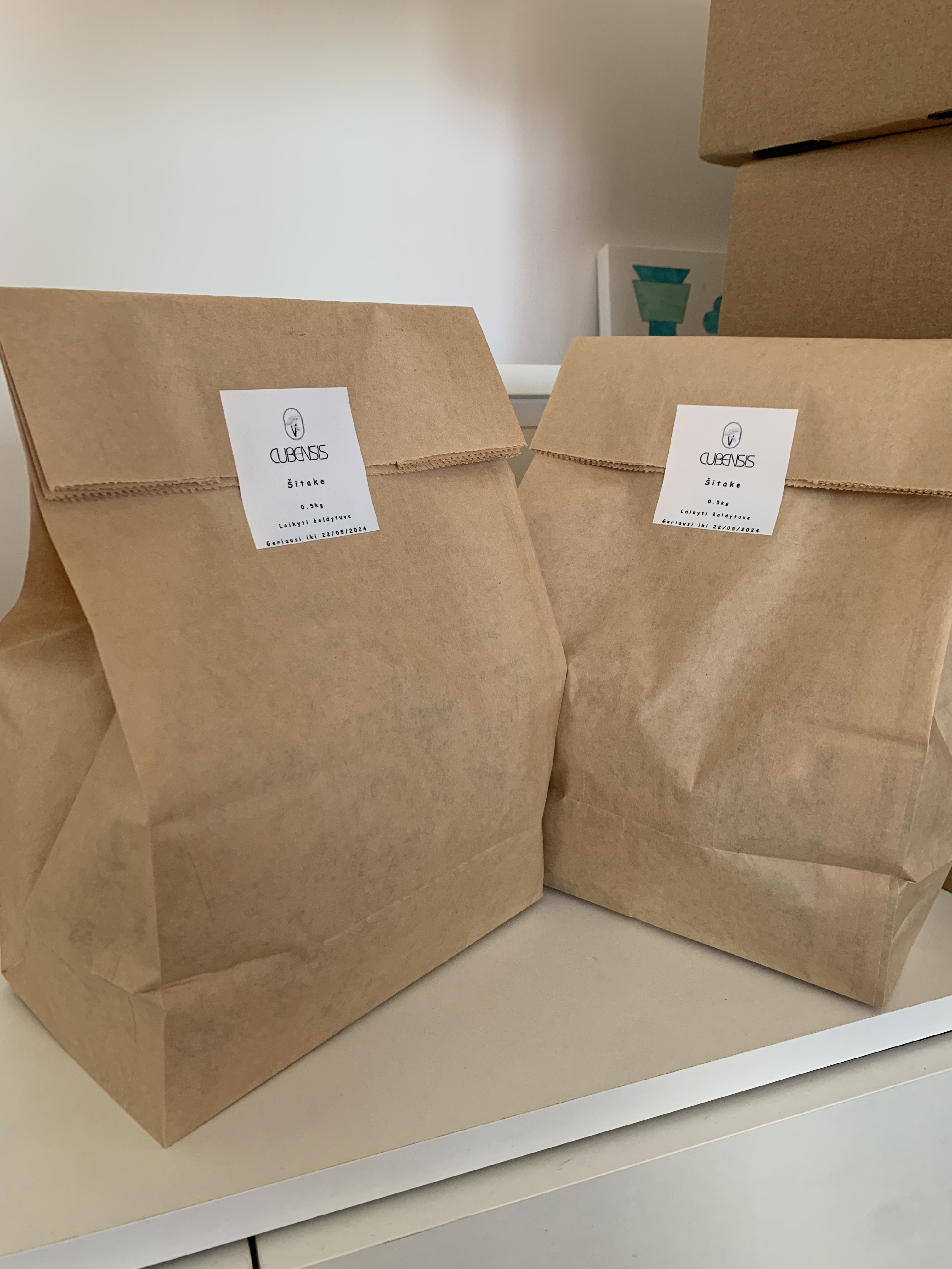 Švieži Shiitake grybai