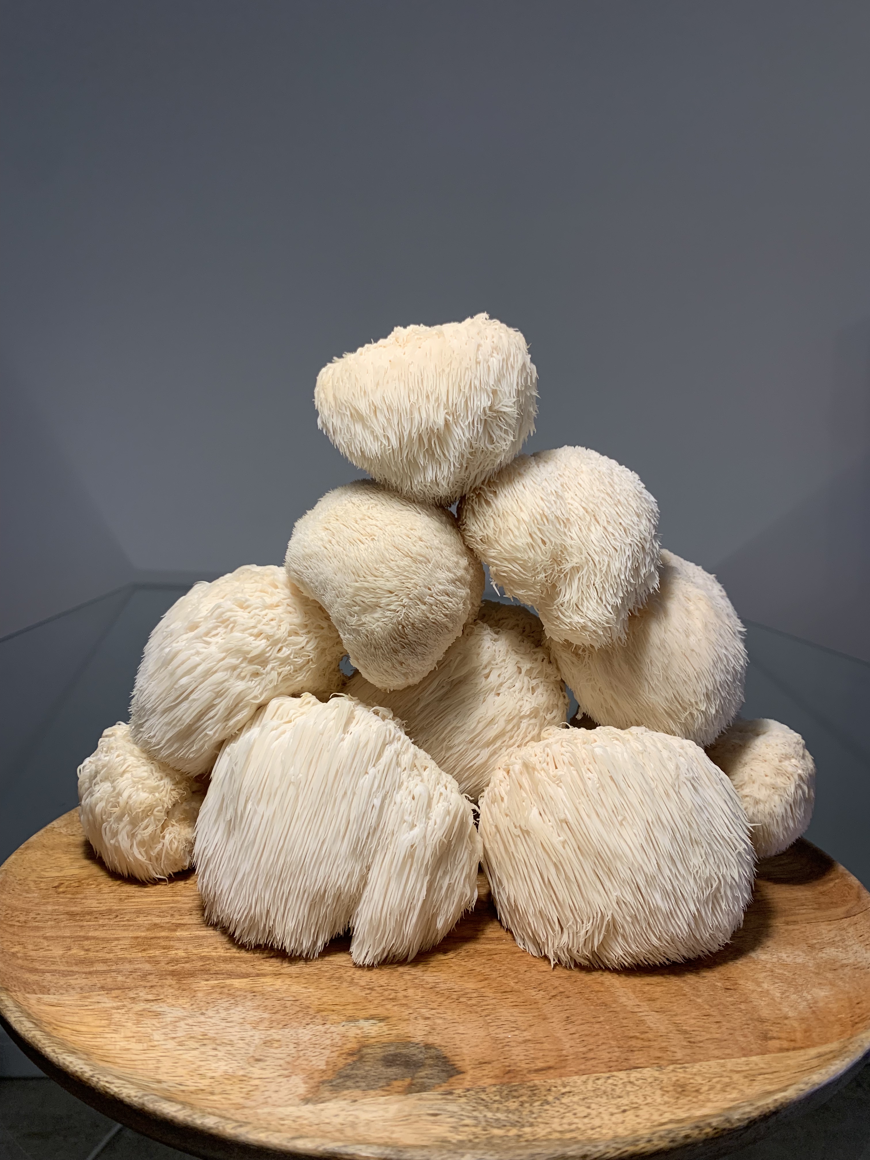 Švieži Lion's Mane grybai