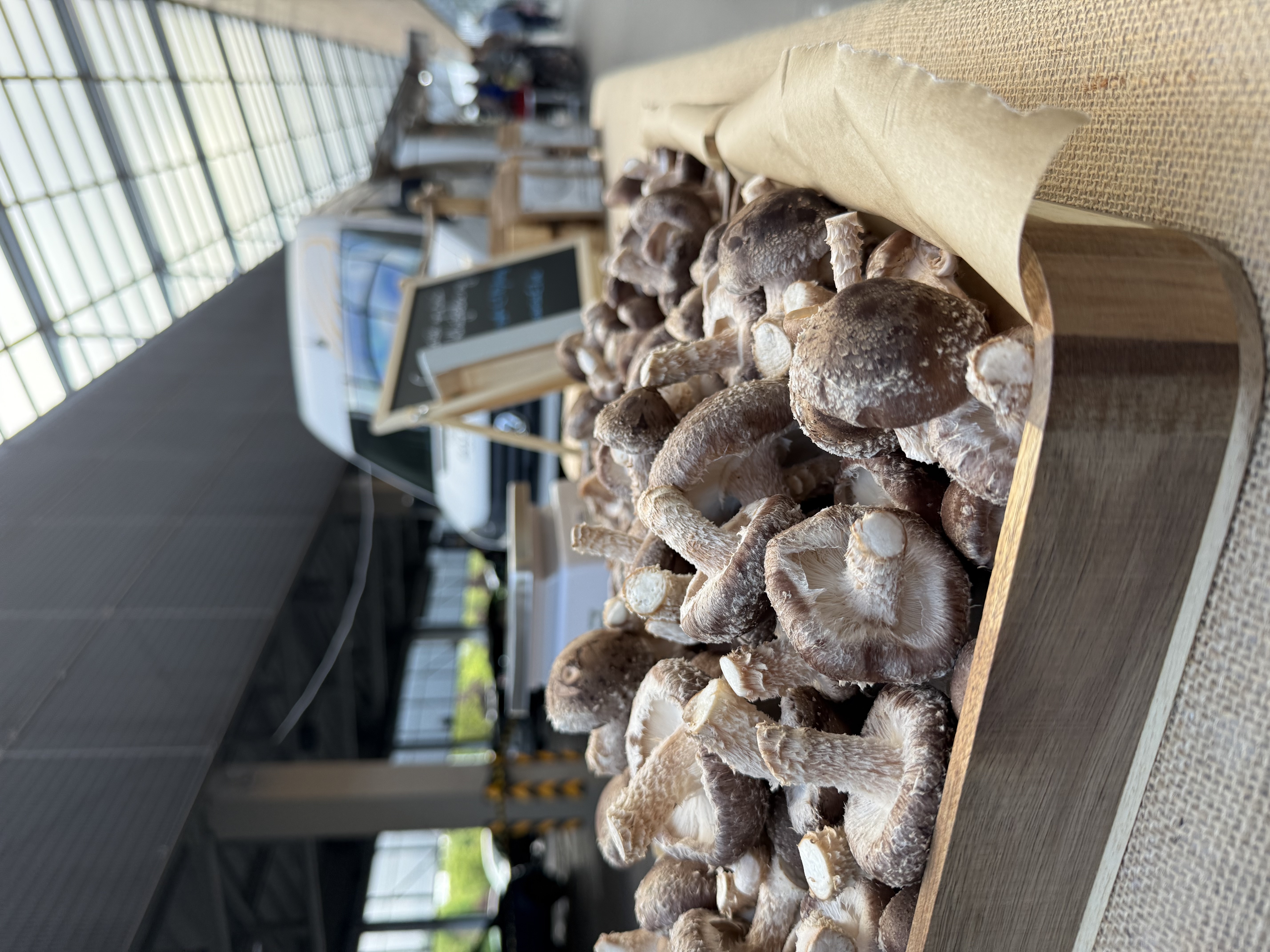 Švieži Shiitake grybai