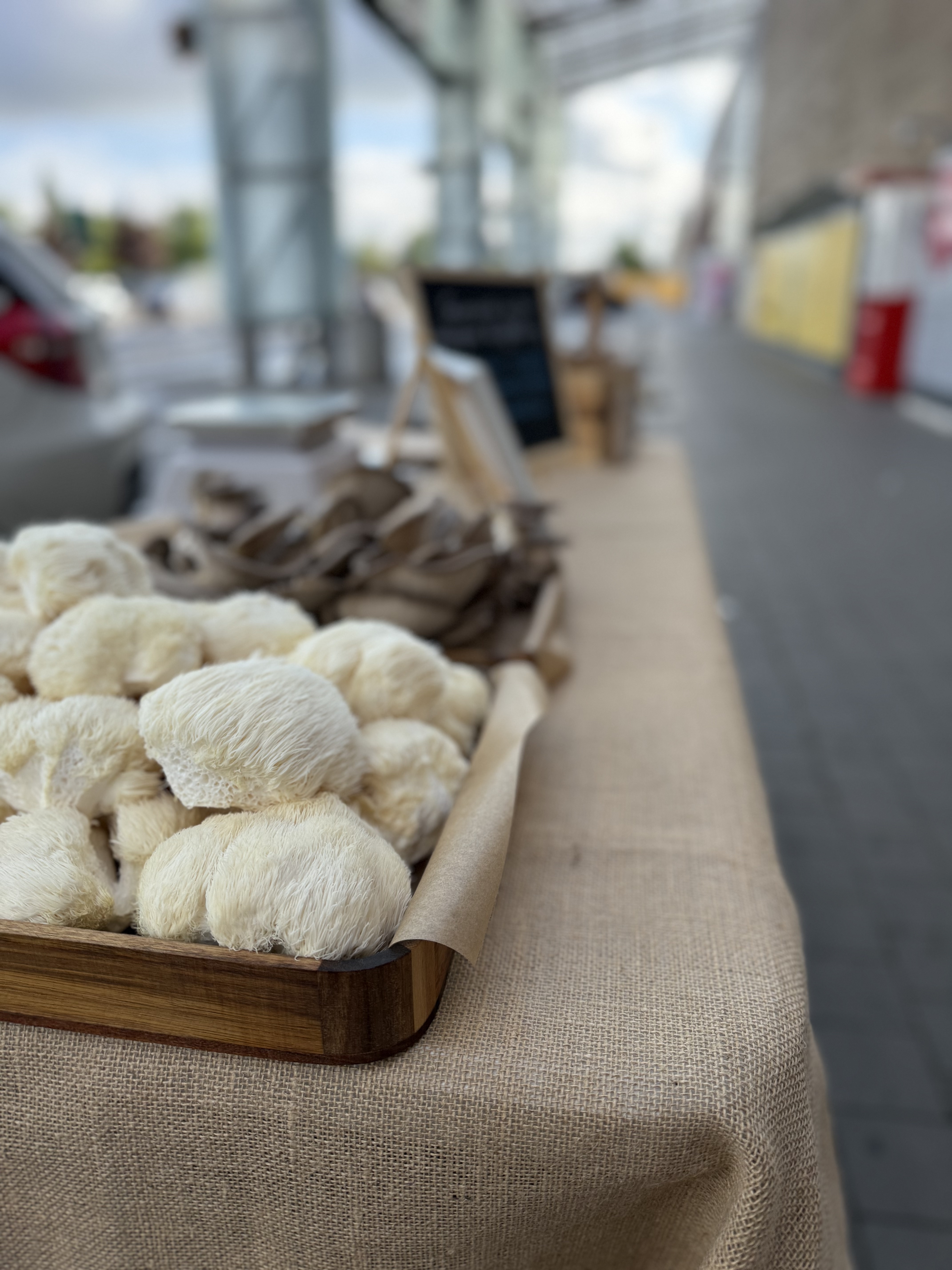 Švieži Lion's Mane grybai