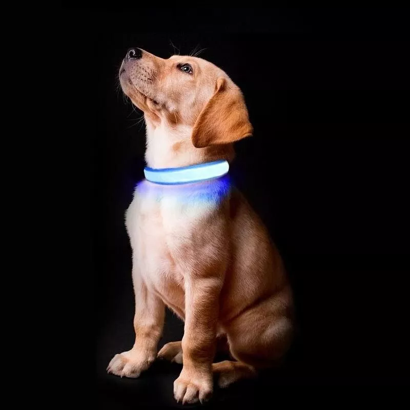 LED Dog Collar