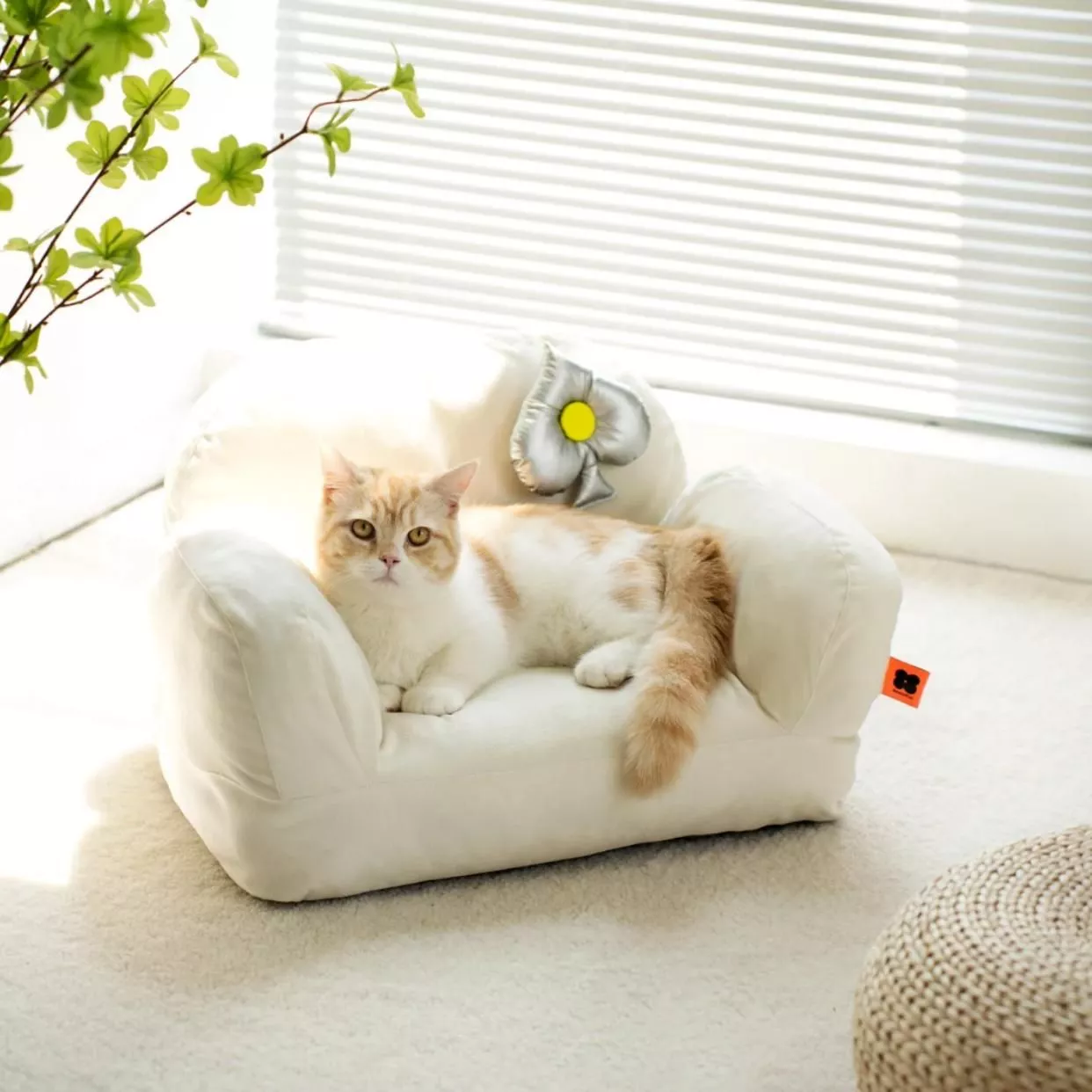 Pet Sofa Bed