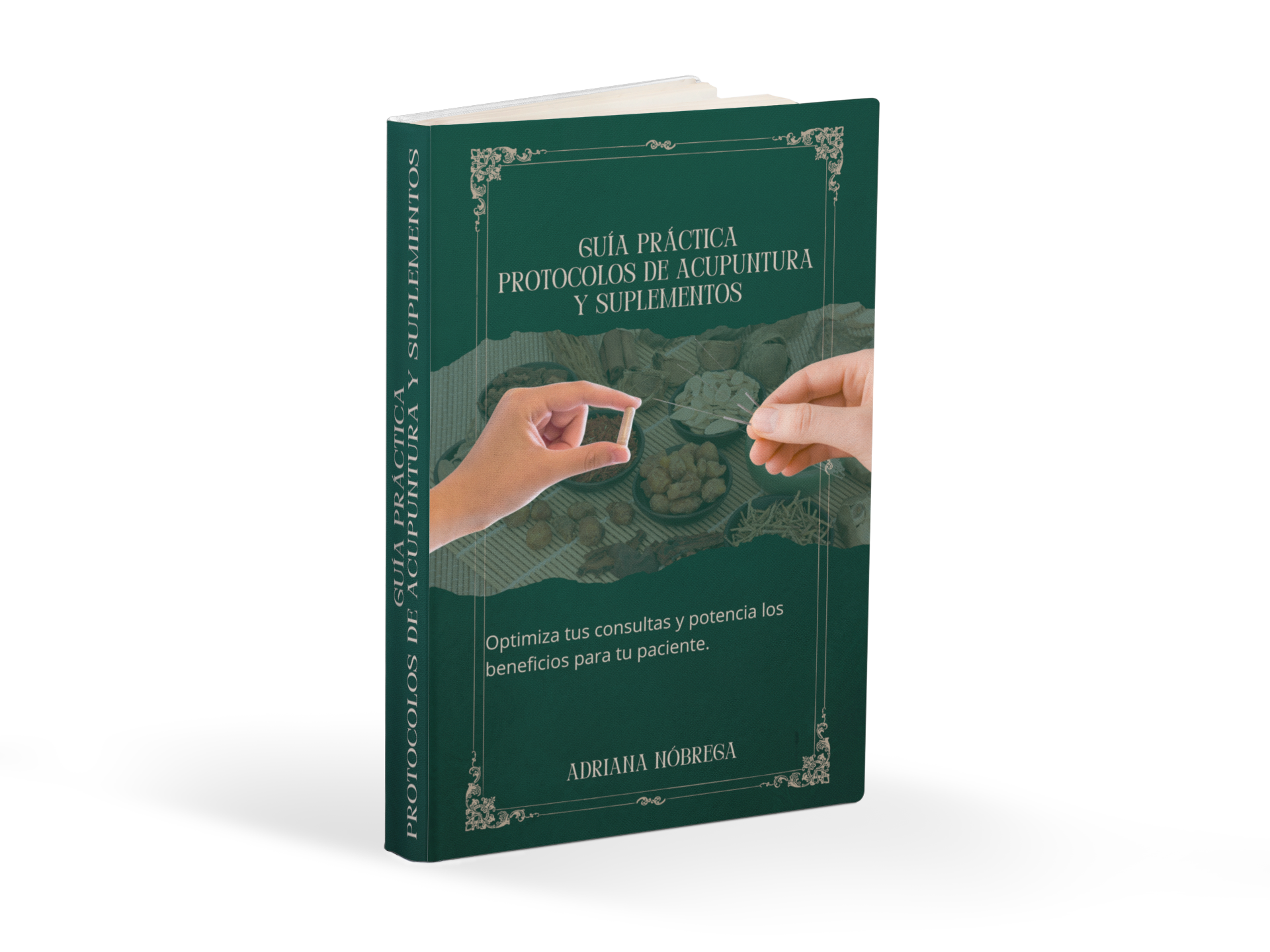 Guía Práctica Protocolos de Acupuntura y Suplementos