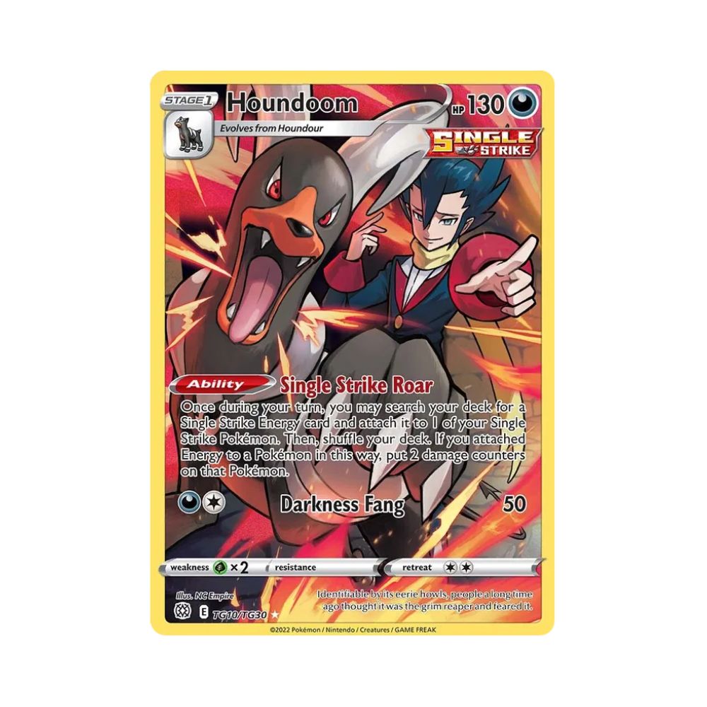 Carta De Houndoom TG10/TG30 Brilliant Stars ING