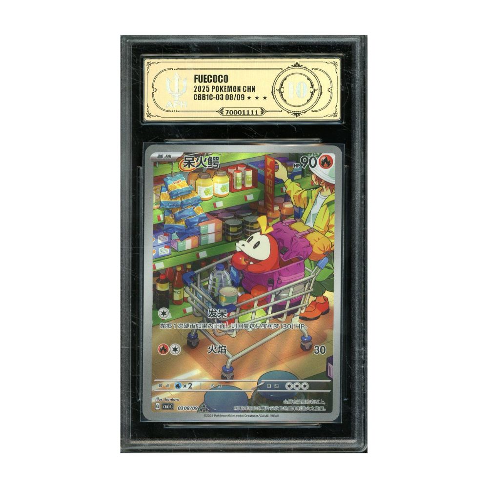APH 10 - Fuecoco 308/9 - Carta China