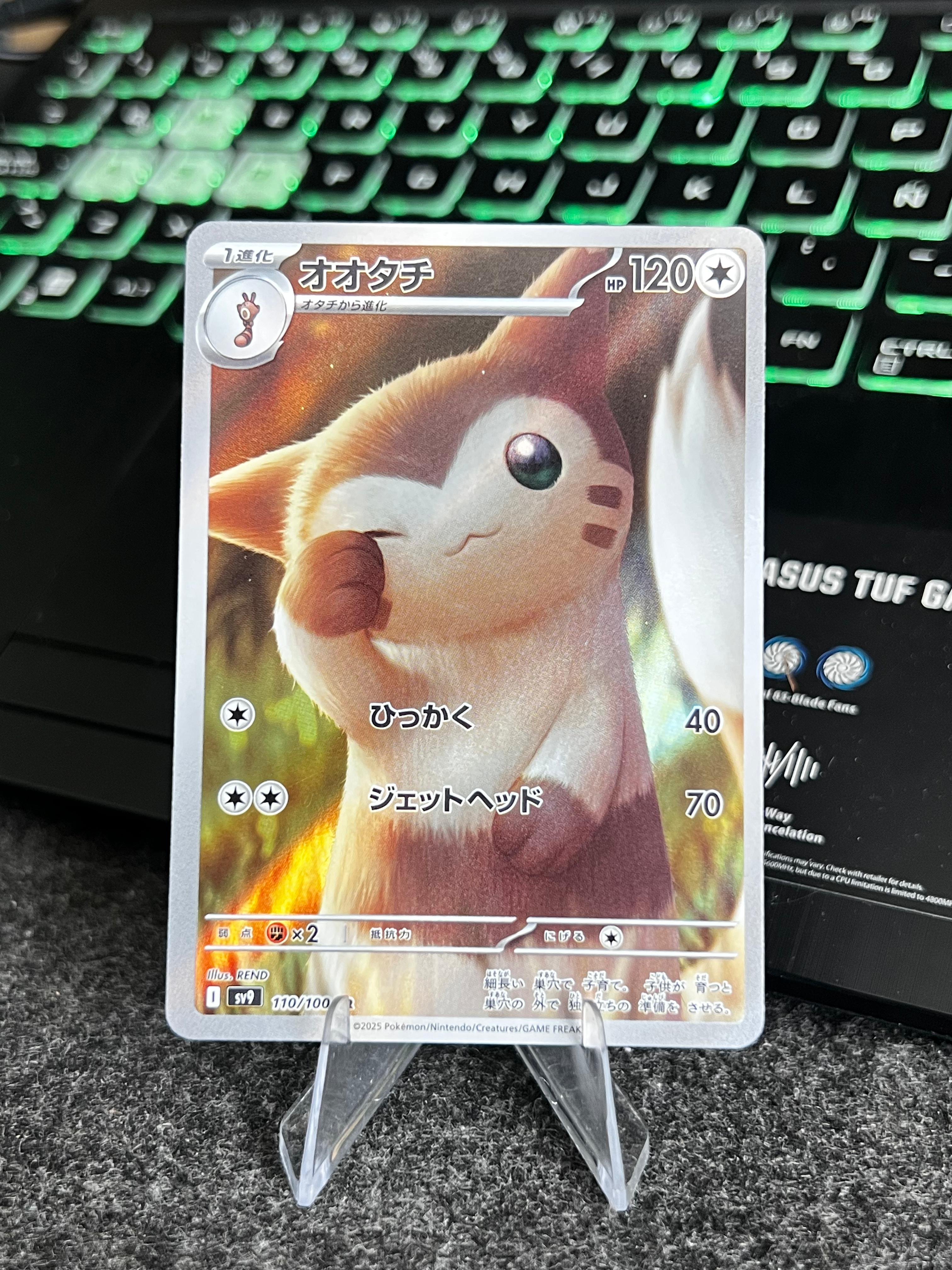 Carta de Furret 110/100 sv9JAP