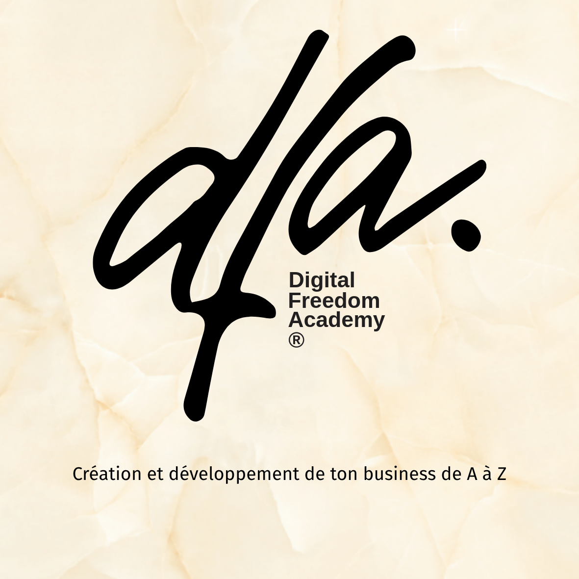 DFA : Digitale Freedom Academy