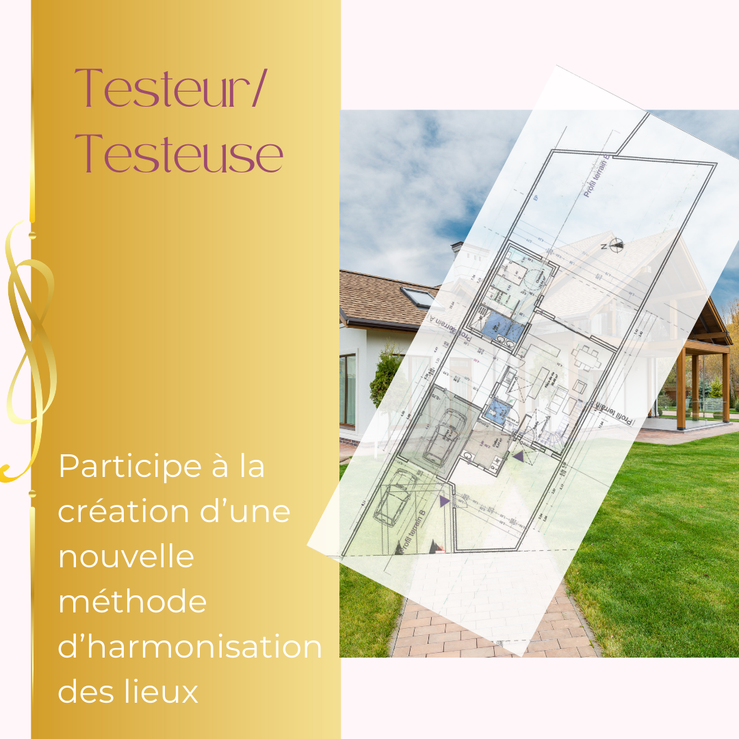 Testeur / testeuse
