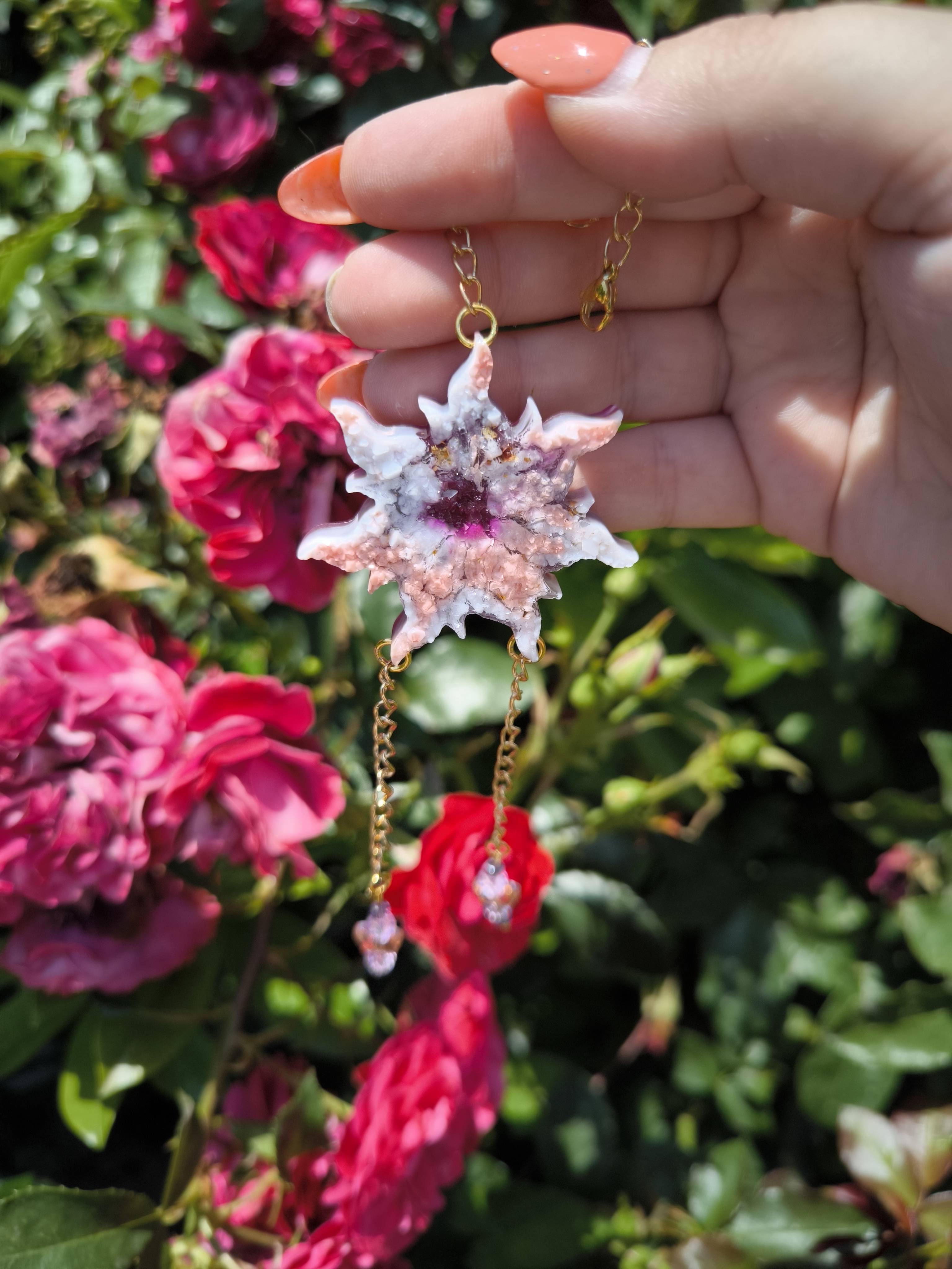 Kleine Sonnenfänger