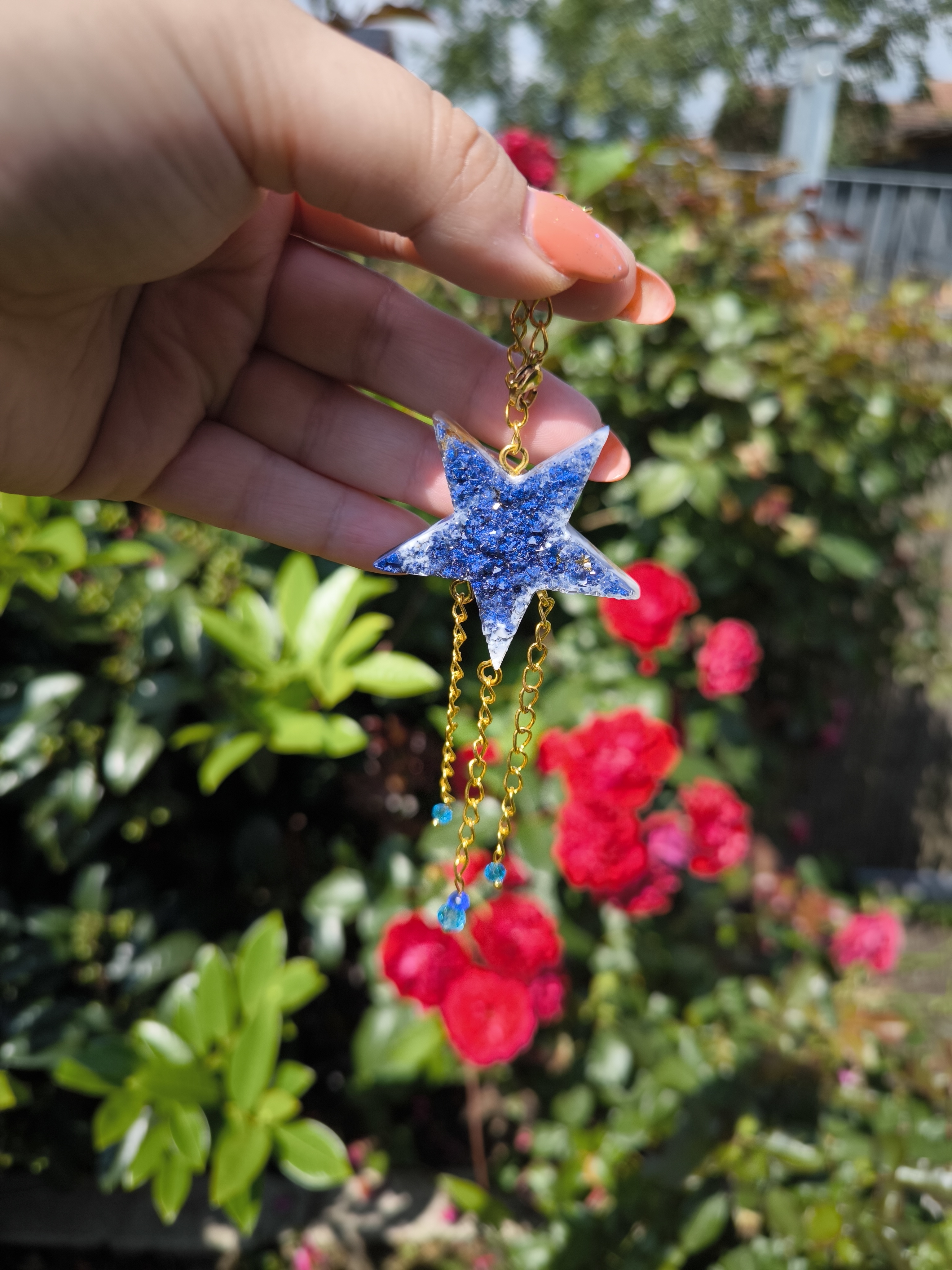 Kleine Sonnenfänger