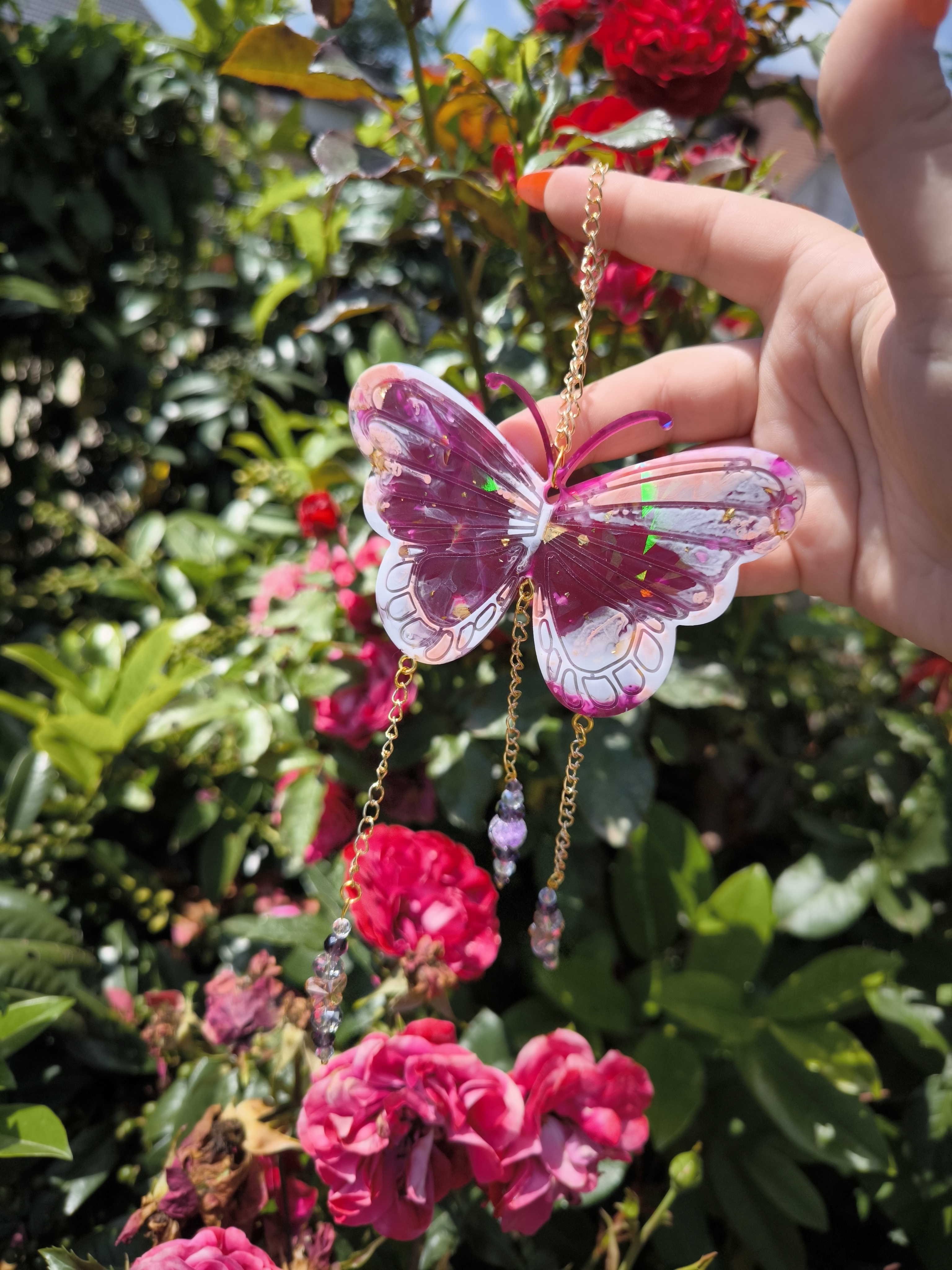 Mittelgroße Sonnenfänger