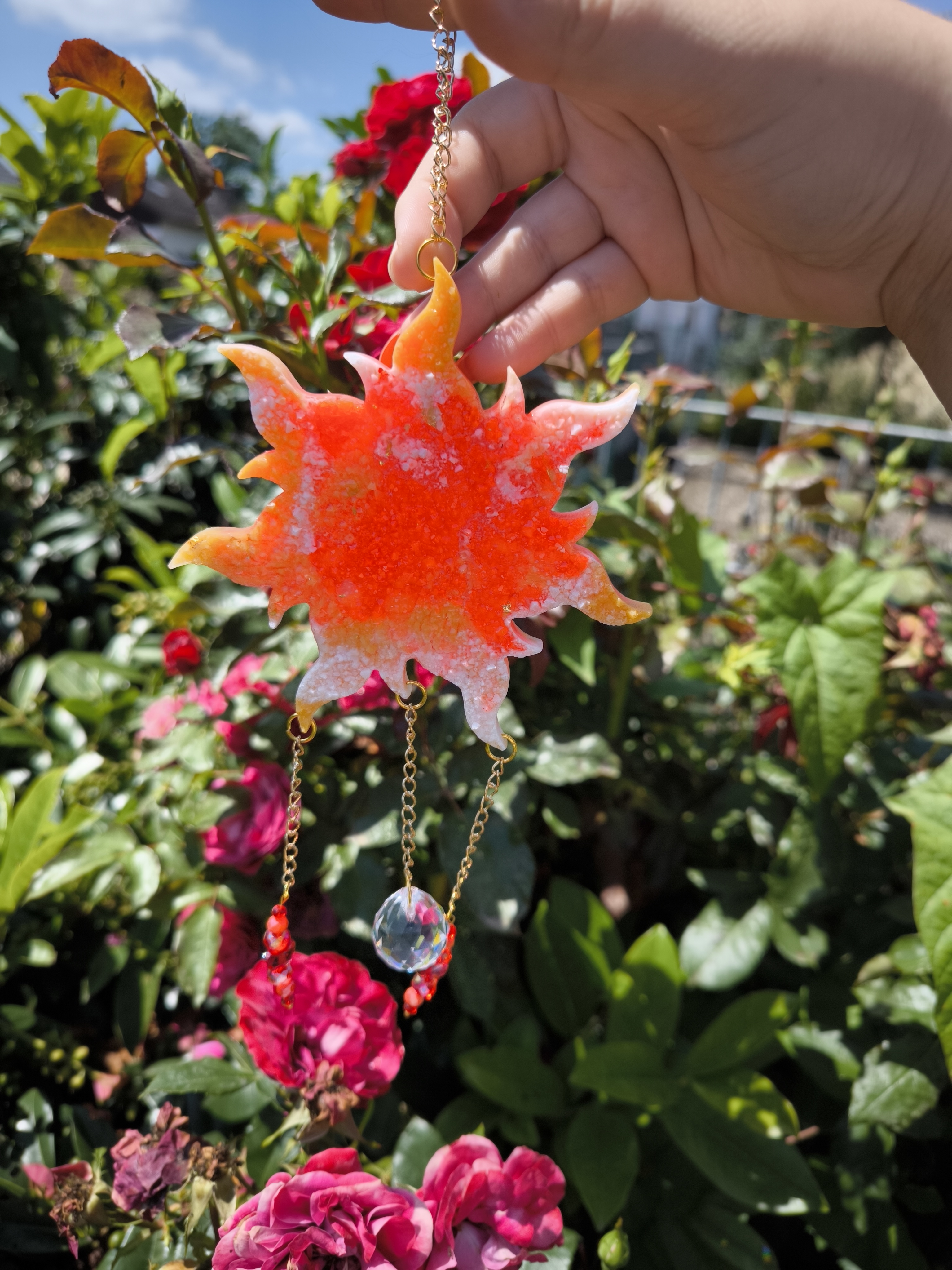 Mittelgroße Sonnenfänger