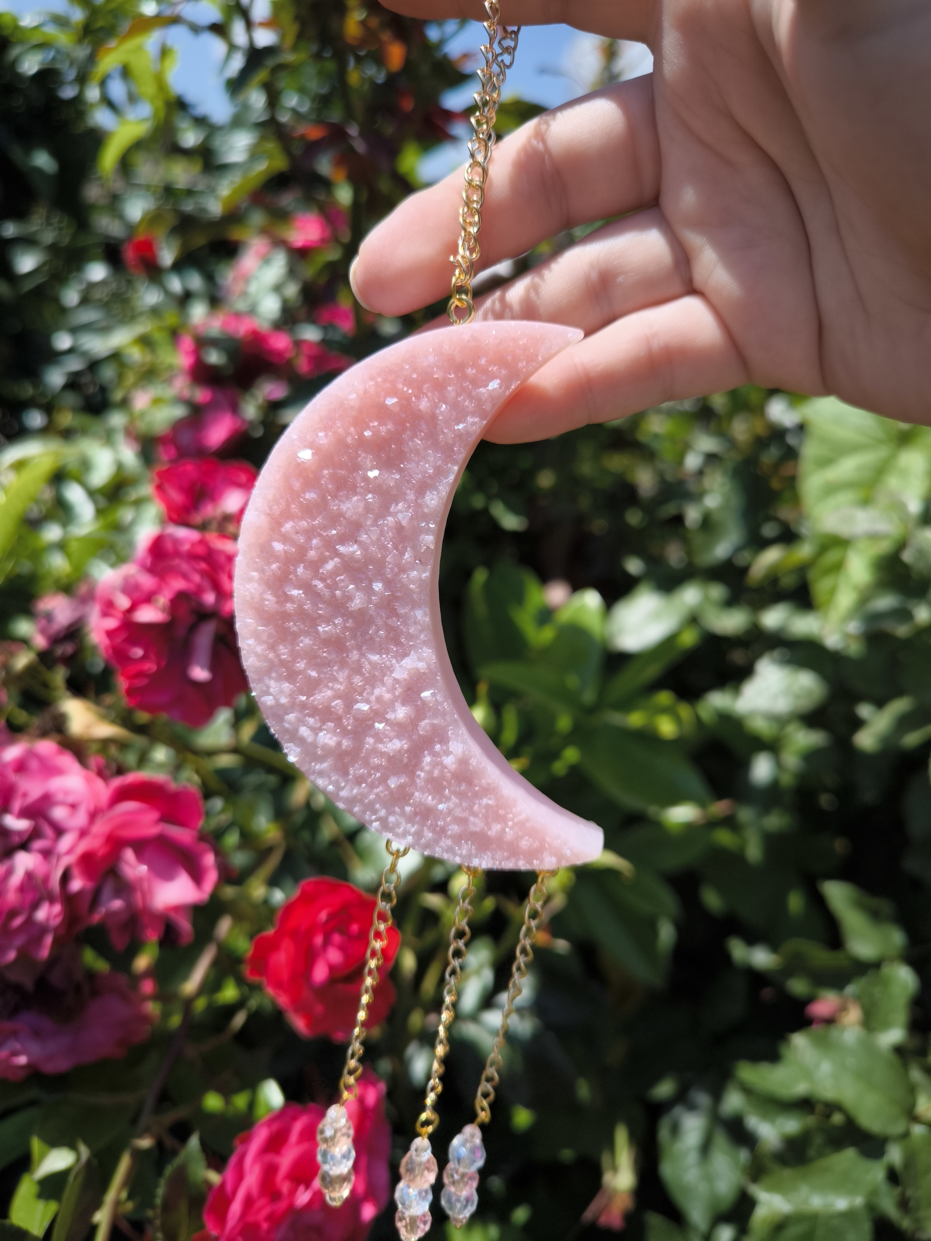 Mittelgroße Sonnenfänger