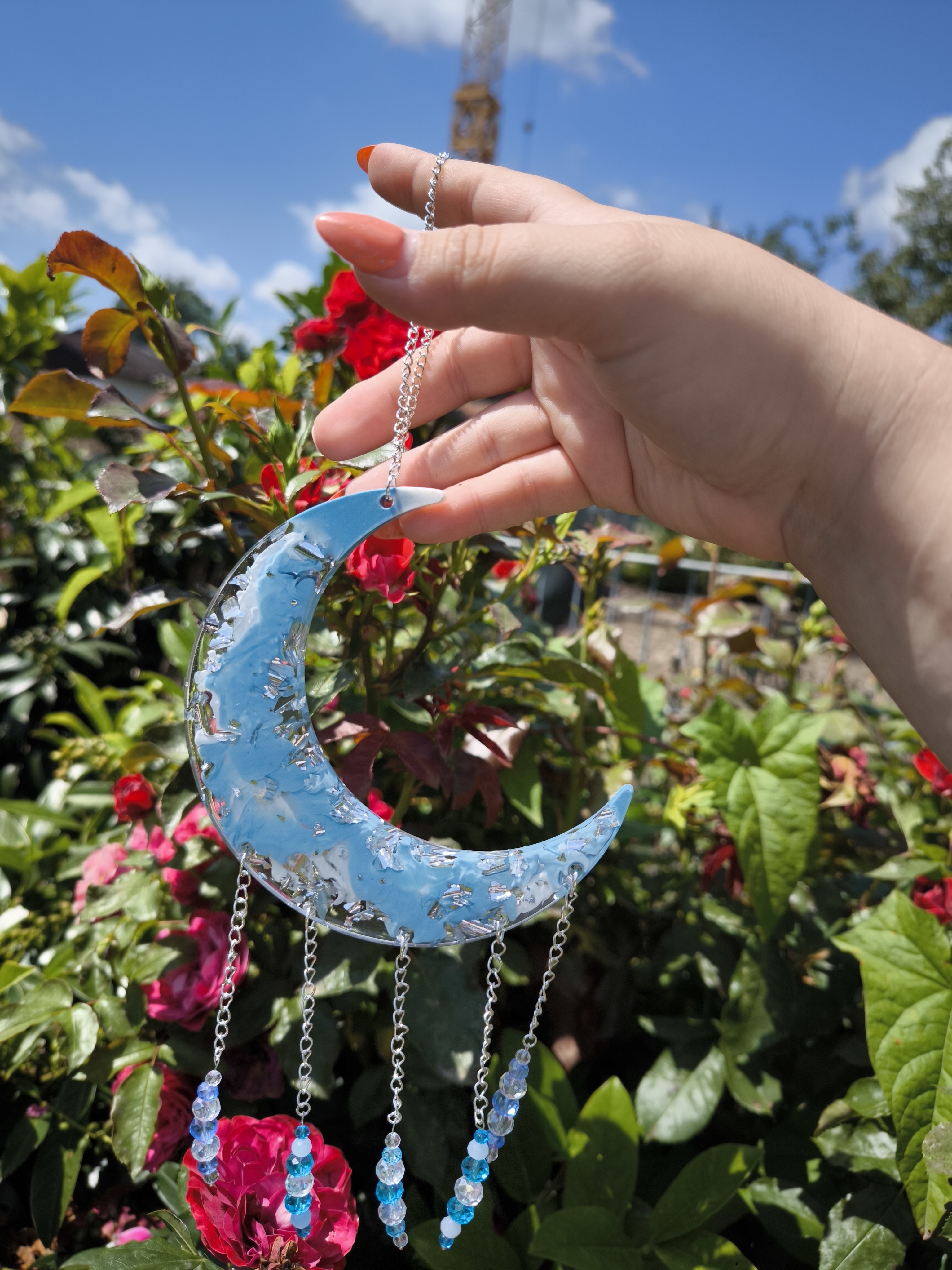 Mittelgroße Sonnenfänger