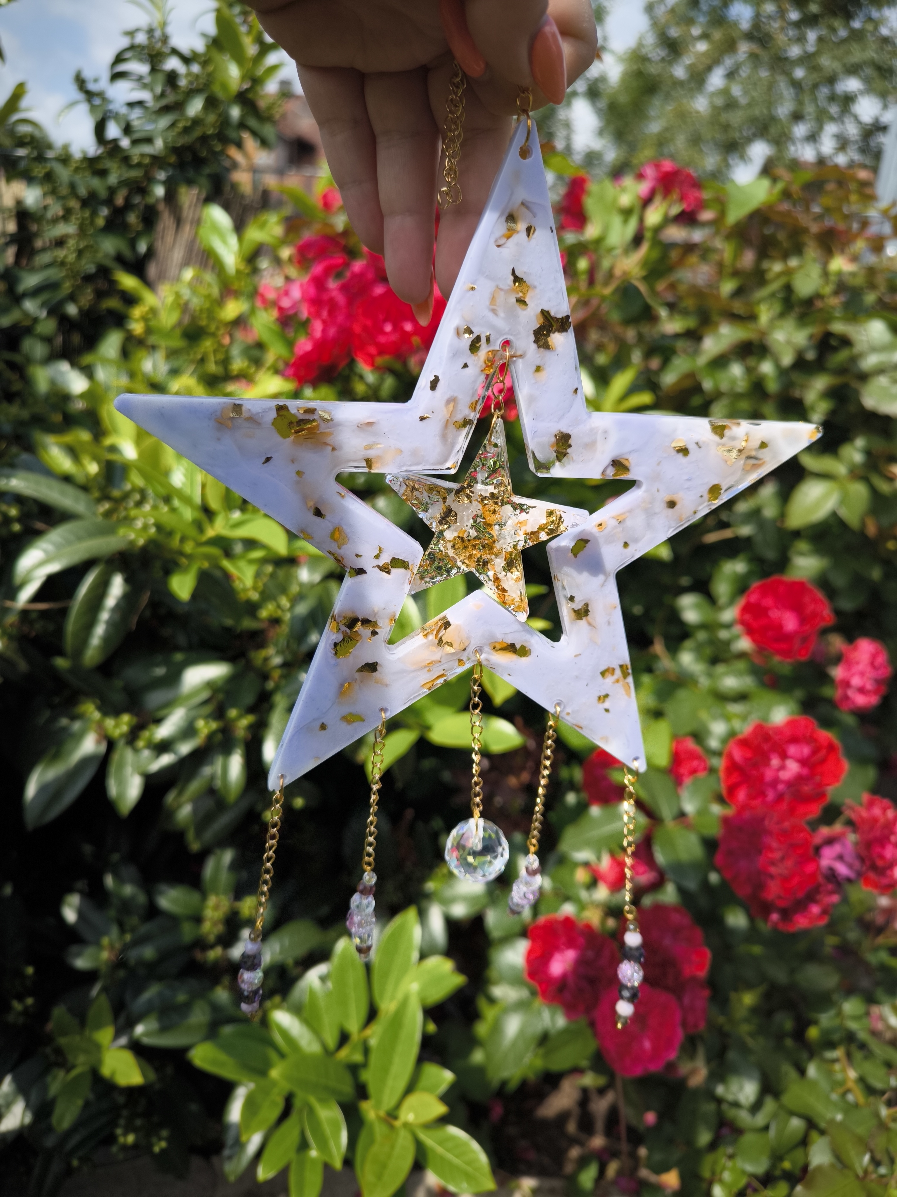 Große Sonnenfänger