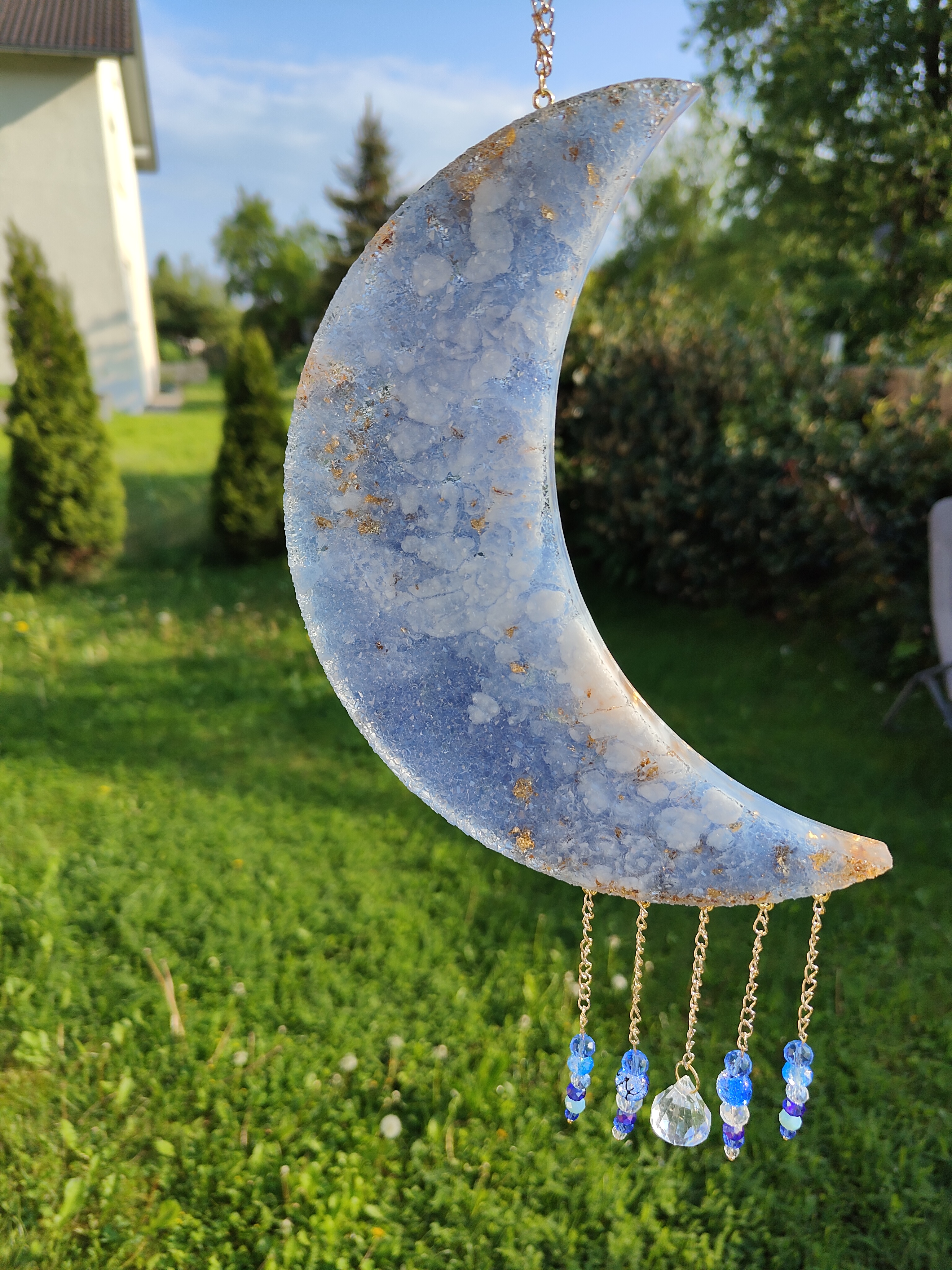 Große Sonnenfänger