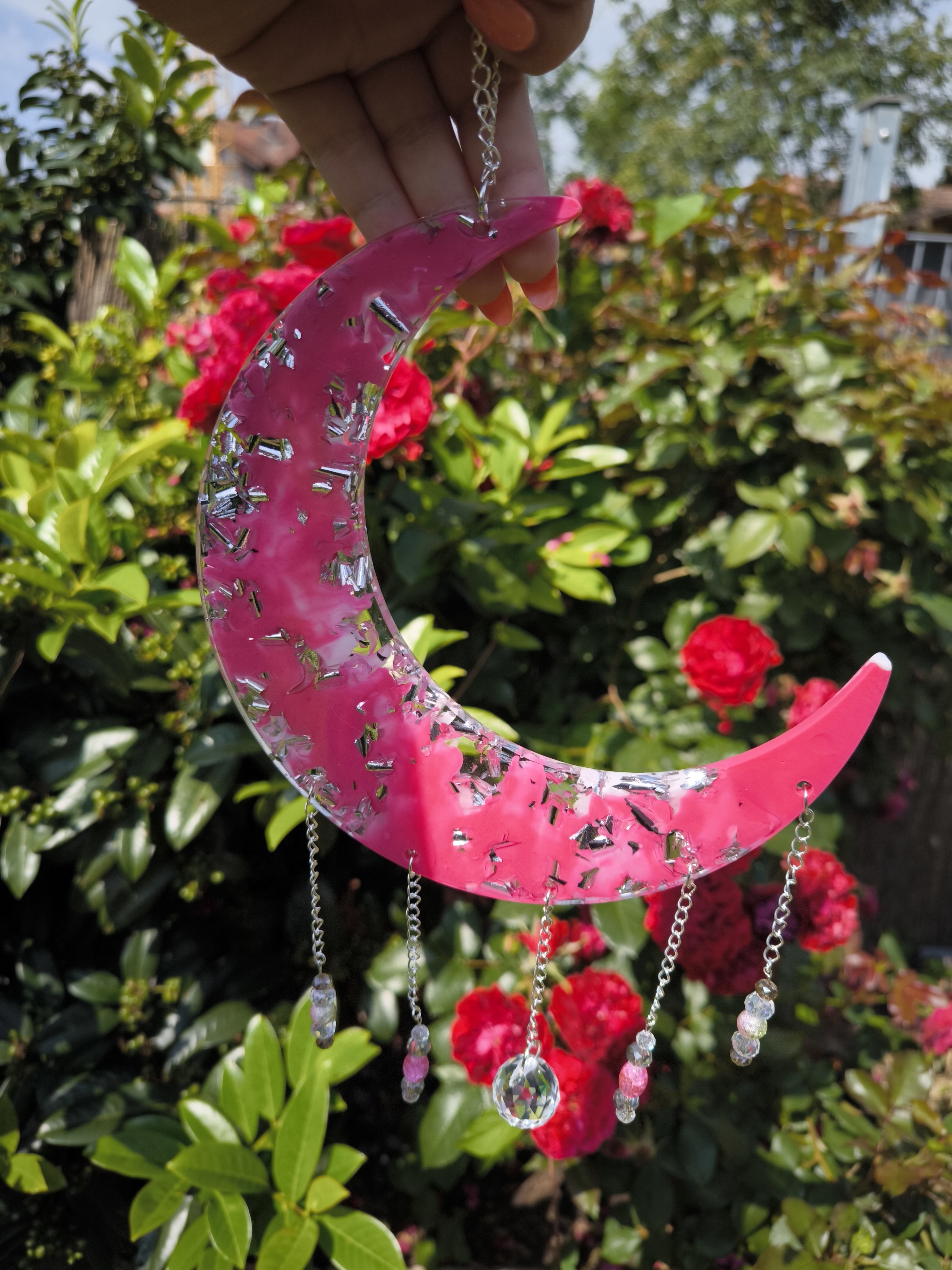 Große Sonnenfänger