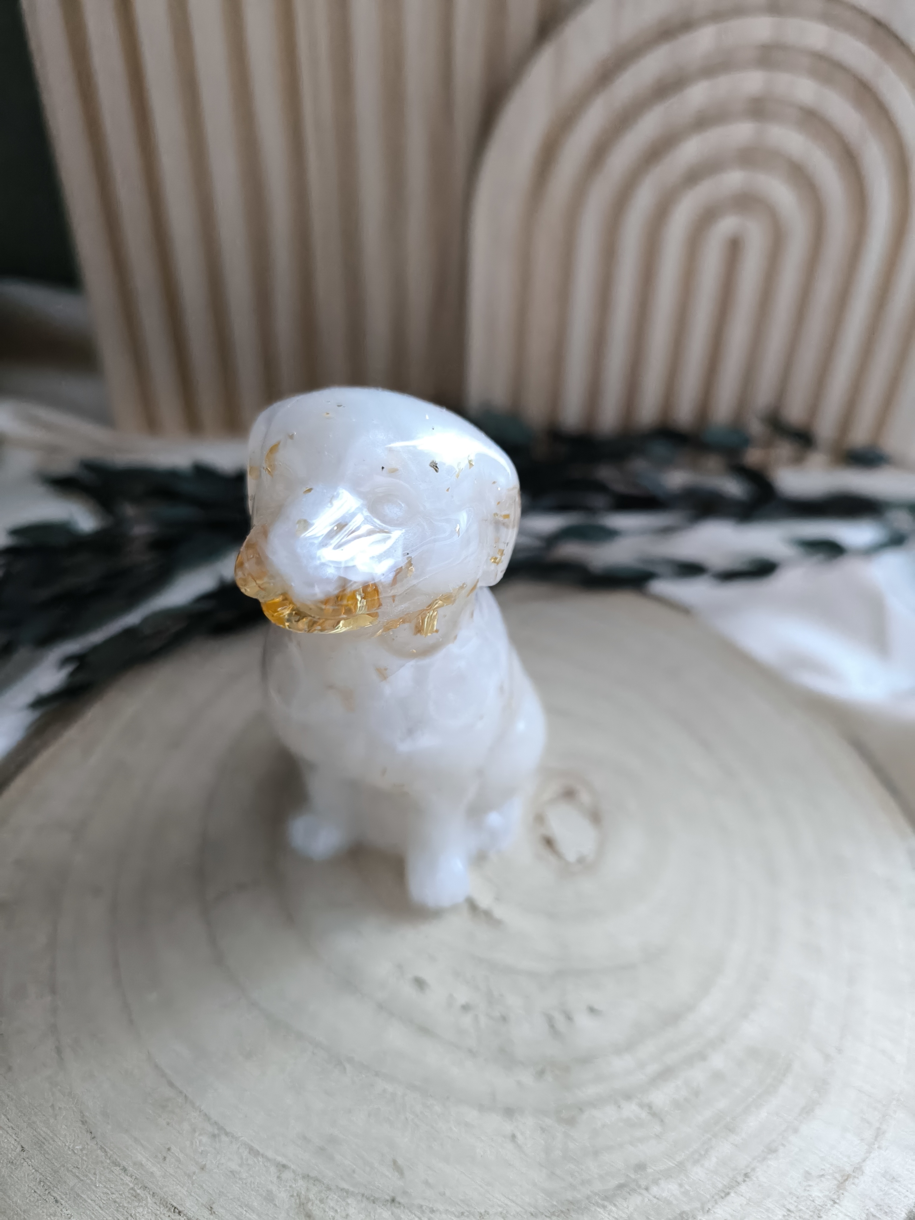 Hund in Wunschfarben