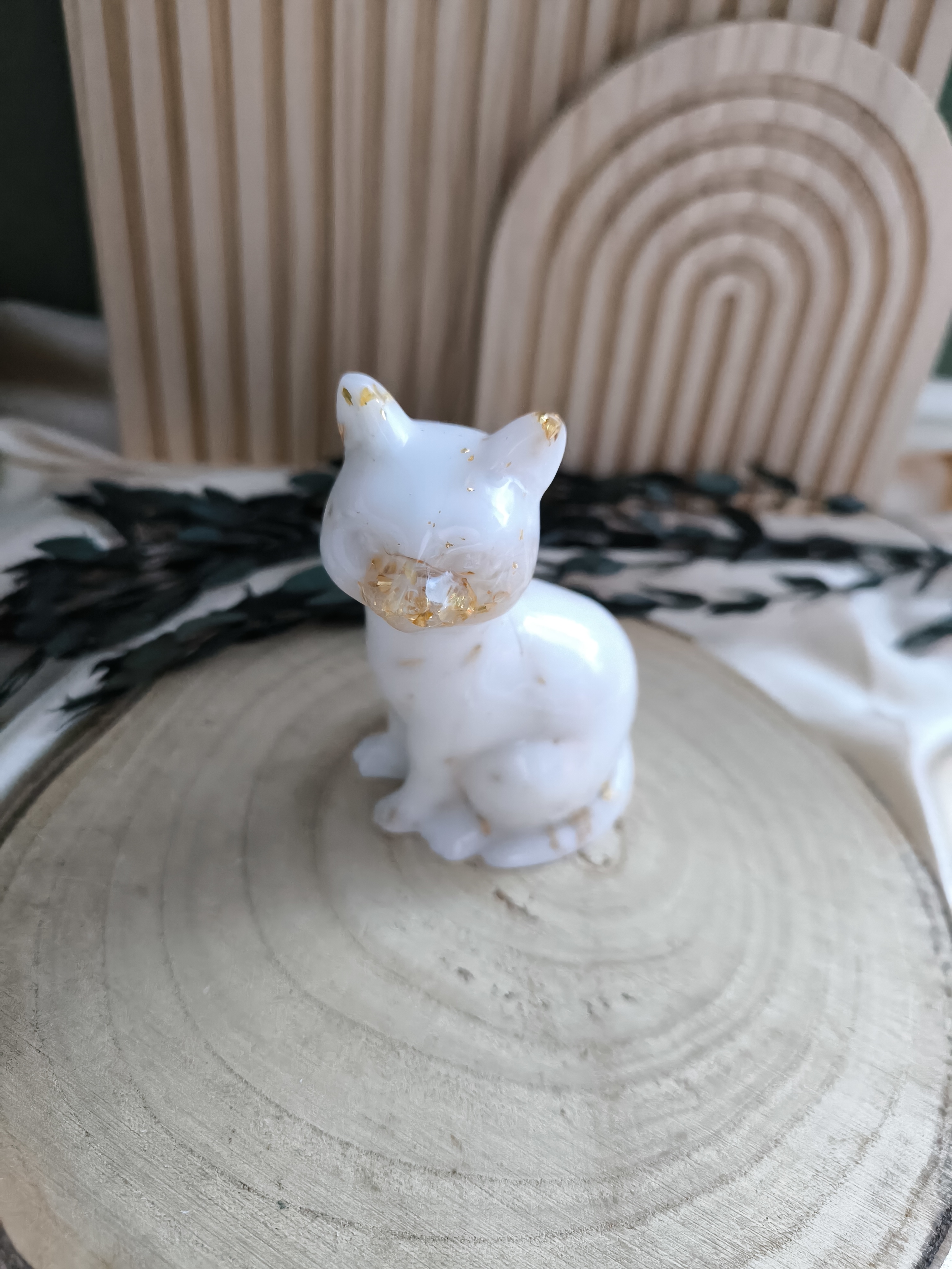 Katze in Wunschfarben