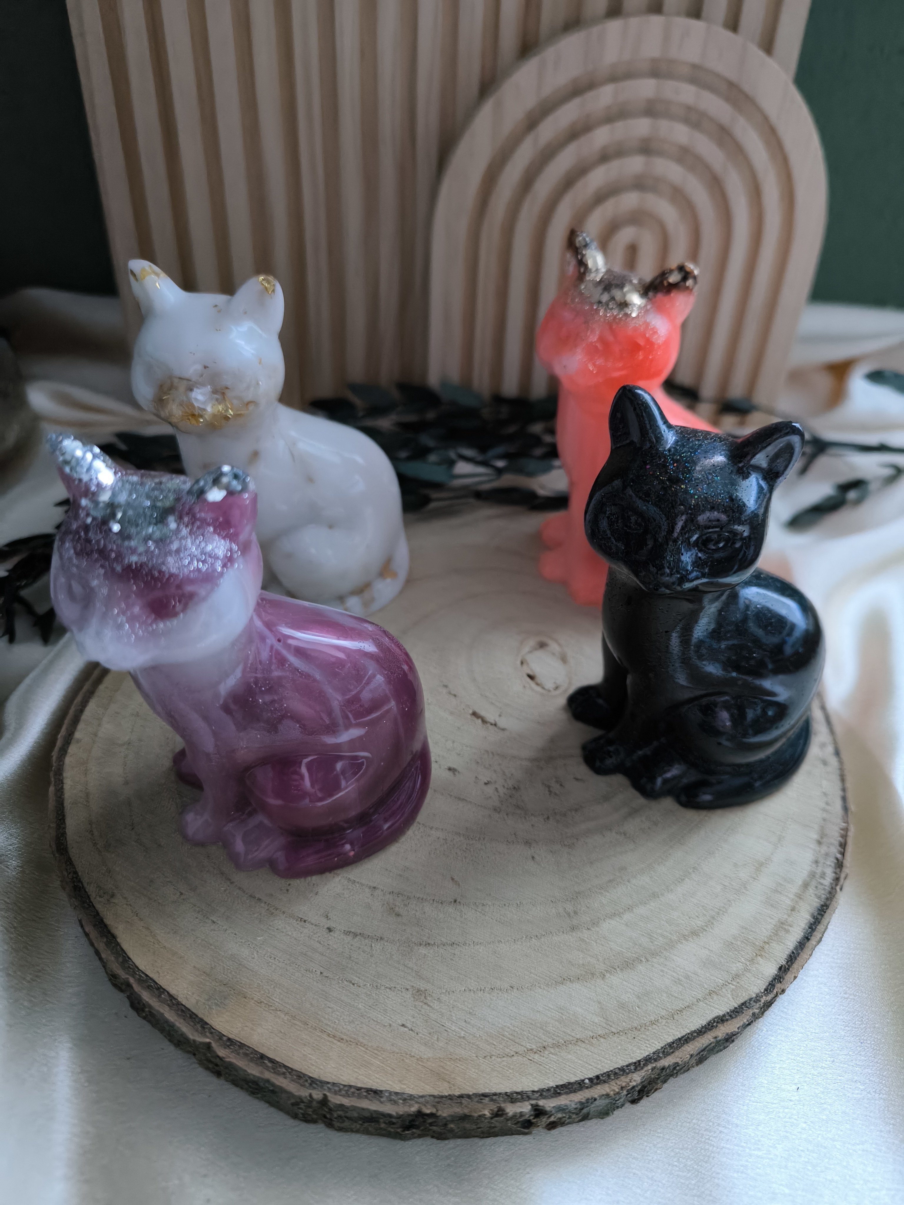 Katze in Wunschfarben