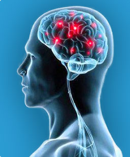 NeuroActiv6     (CLICK ON THE HIGHLIGTED DESCRIPTION LINK BELOW  TO PUCHASE)