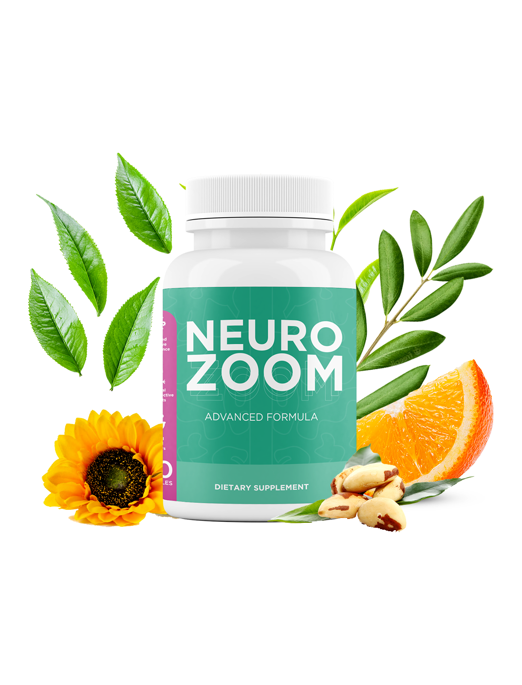 Neuro Zoom   (CLICK ON THE HIGHLIGTED DESCRIPTION LINK BELOW  TO PUCHASE)