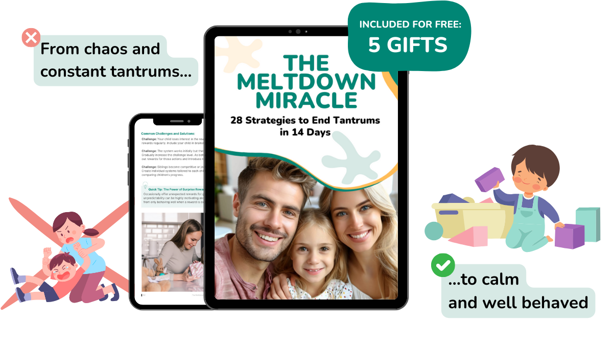 The Meltdown Miracle (CLICK ON THE HIGHLIGTED DESCRIPTION LINK BELOW TO PUCHASE)