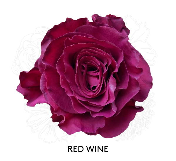 RED WINE