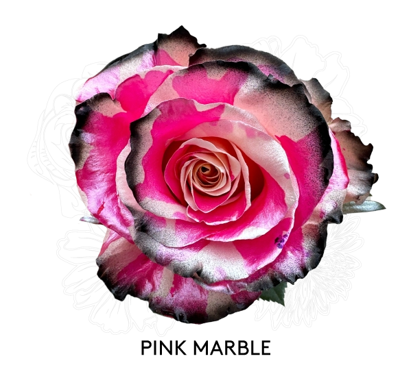 PINK MARBLE