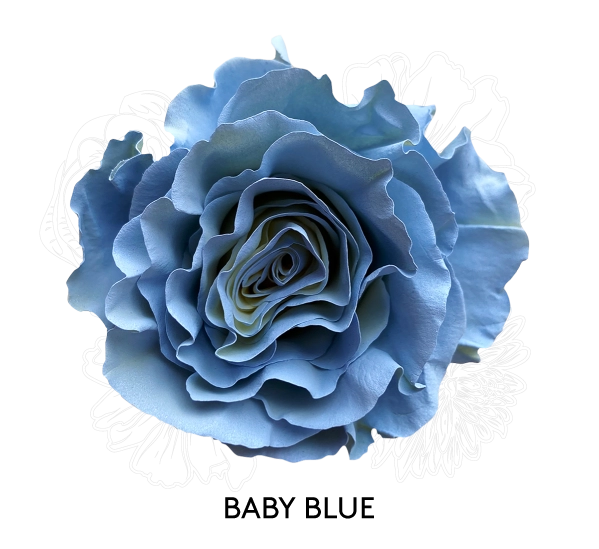 BABY BLUE