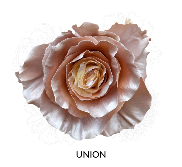 UNION