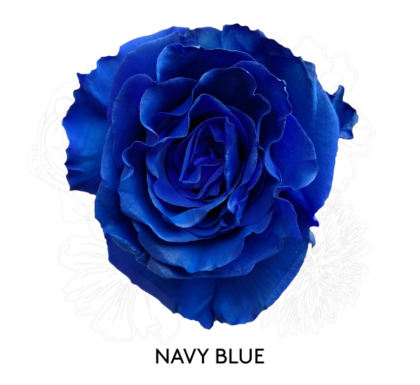 NAVY BLUE