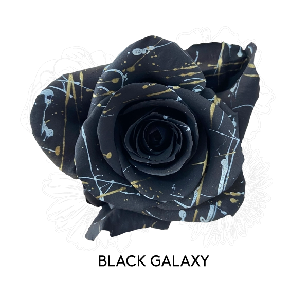 BLACK GALAXY