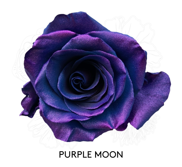 PURPLE MOON